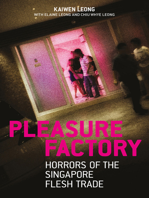 Cover image for Pleasure Factory